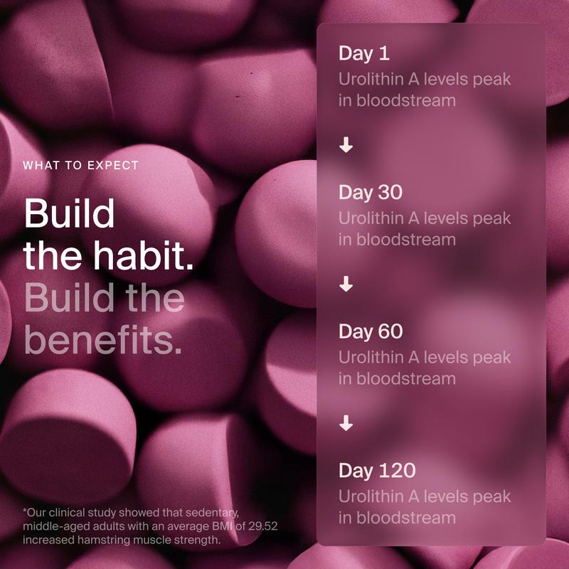 Timeline Urolithin A Longevity Gummies