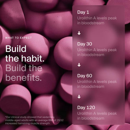 Timeline Urolithin A Longevity Gummies
